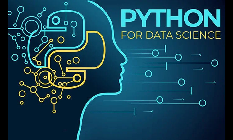 Mastering Python: The Language Behind the AI ​​and Data Science Revolution