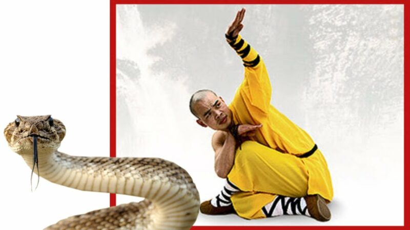 Aprenda a dominar o Estilo Serpente Imperial Kung Fu como um verdadeiro mestre
