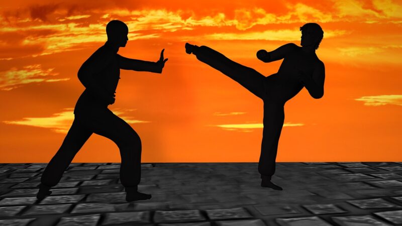 Estilo Hung Gar Foi Inspirado No Kung Fu Shaolin
