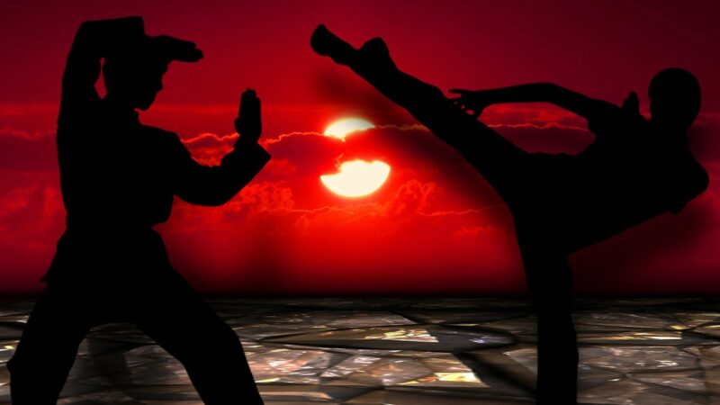 Kung fu estilo garça branca: a técnica que une força e elegância