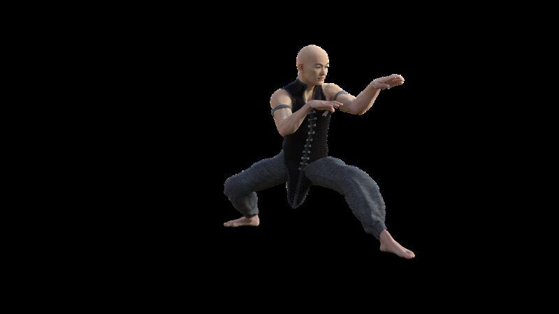 Kung Fu Estilo Javali: A Arte Marcial que Desafia a Força Animal