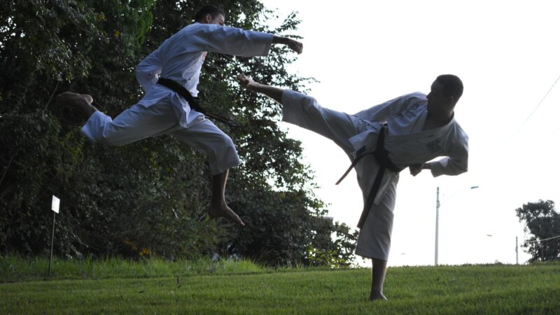 Os Grandes Mestres do Kung Fu Estilo Choy Lay Fut e Seus Legados